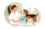 Pictogramme d'une vétérinaire qui ausculte un chien en consultation