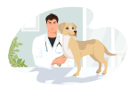 Pictogramme d'un vétérinaire qui ausculte un chien pendant une consultation