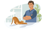 Pictogramme d'un vétérinaire avec un chat